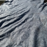 Геотекстиль Дорнит 200 гр/кв.м 200 2,2*50 (110кв.м) (из вторичного сырья)