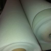 Дорнит 300 гр/кв.м на отрез ширина 2*10м (20 кв.м) (первичное сырьё)